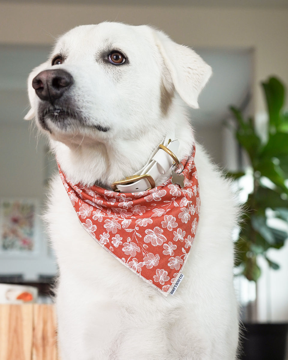 Terracotta Floral Dog Bandana