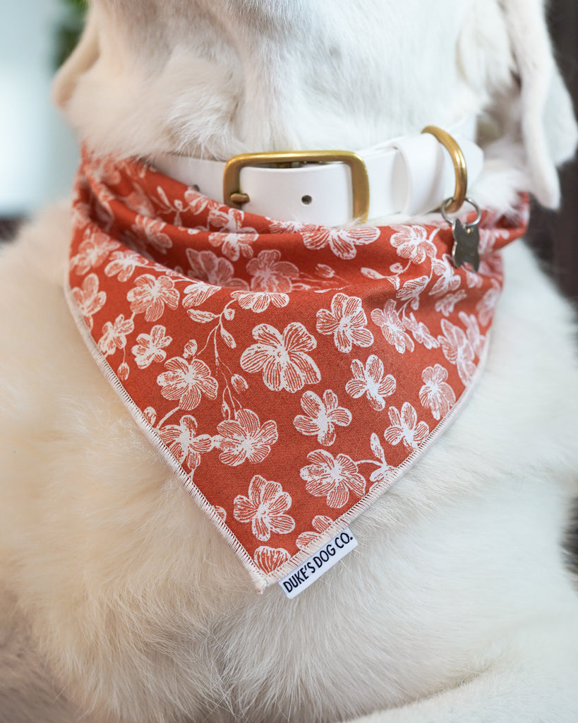 Terracotta Floral Dog Bandana Duke s Dog Co