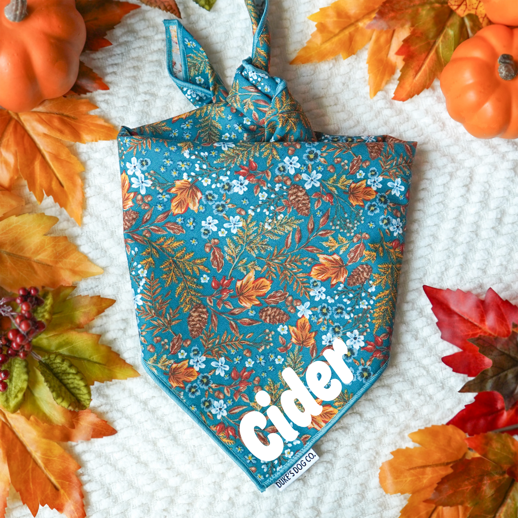 Duke dog best sale bandana